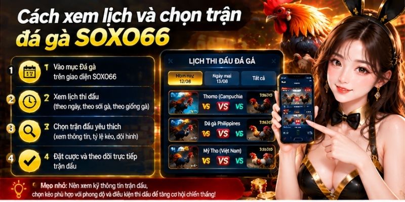 Đá Gà SOXO66: Cách Xem Trận Và Đọc Các Cửa Cược 3 Cách xem lịch và chọn trận đá gà SOXO66