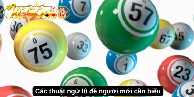 Các thuật ngữ lô đề người mới cần hiểu